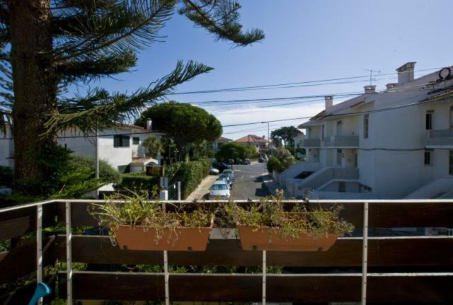 Traditional Villa In S Pedro , Estoril Alapraia المظهر الخارجي الصورة